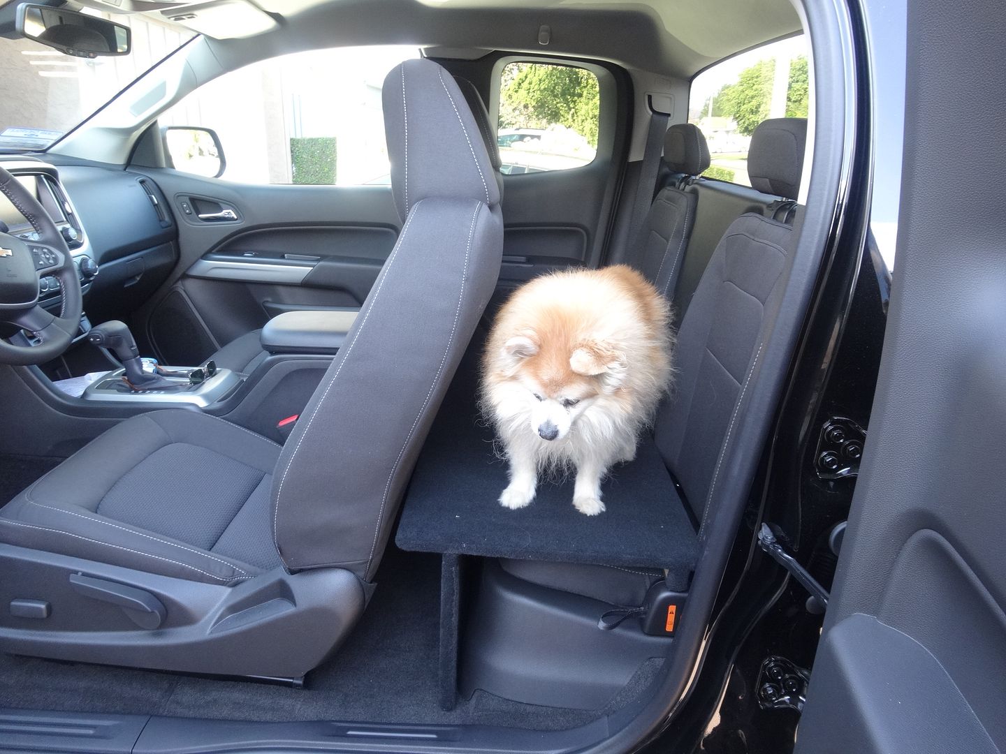 Chevy silverado dog seat covers Chevy silverado dog seat covers